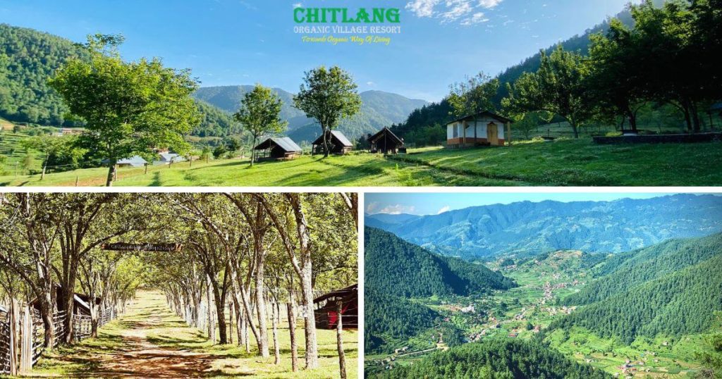 Top hotels in chitlang