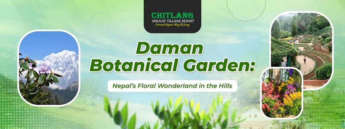 Daman Botanical Garden: Nepal’s Floral Wonderland of the Hills