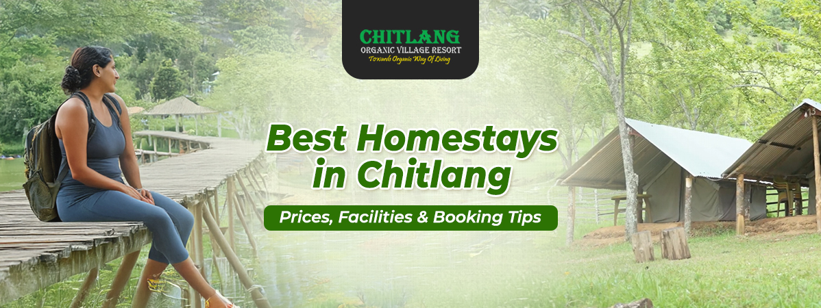 https://www.chitlang.com/best-homestays-in-chitlang-prices-booking-tips/
