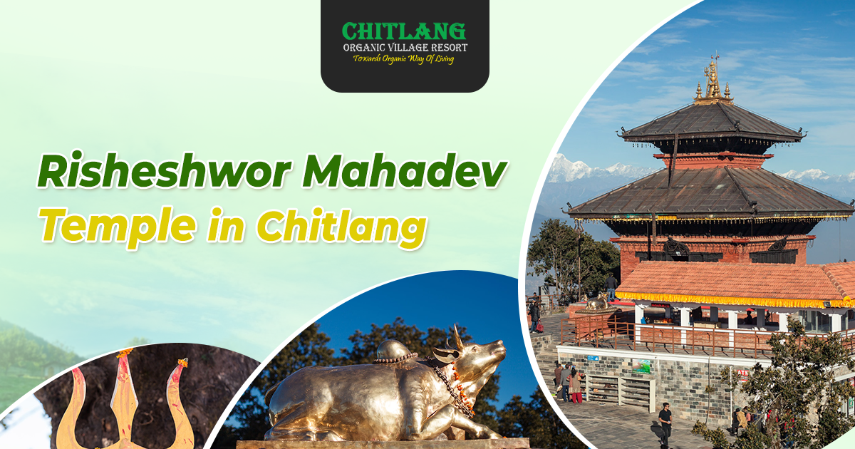 Why Visit Risheshwor Mahadev Temple in Chitlang?