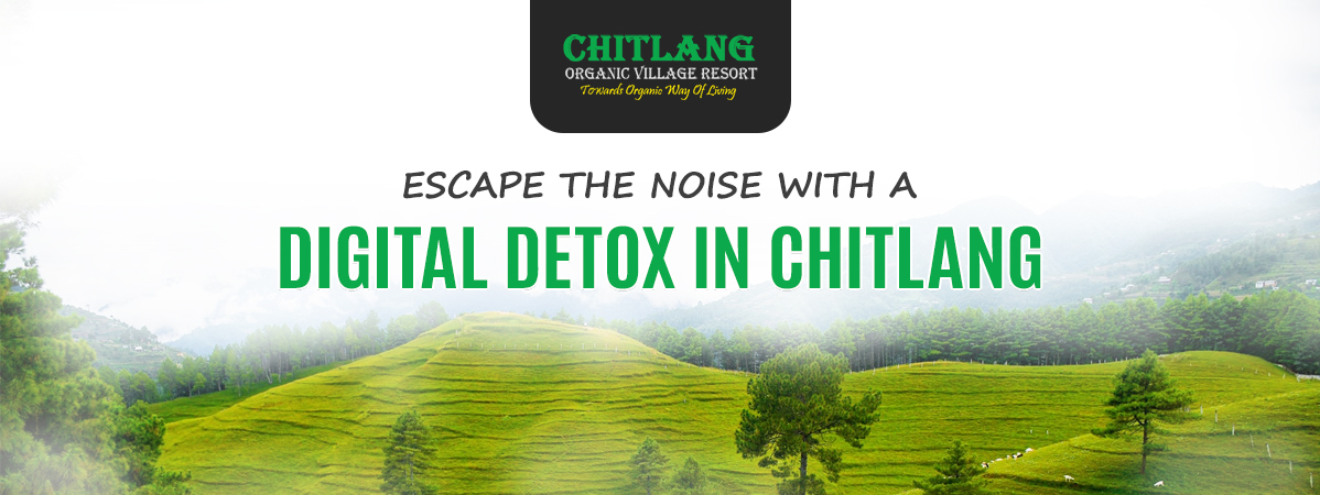 Escape the Noise with a Digital Detox in Chitlang