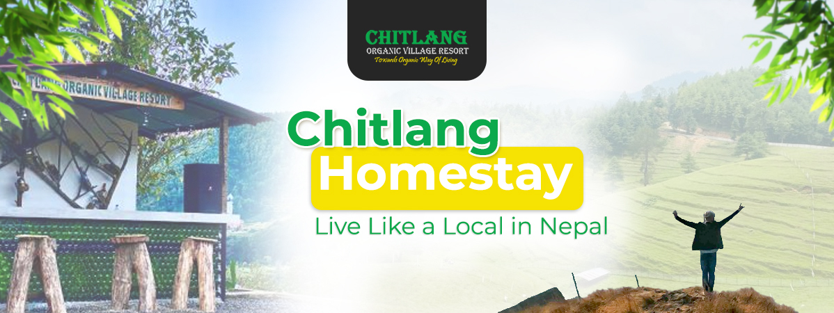 Chitlang Homestay: Live Like a Local in Nepal